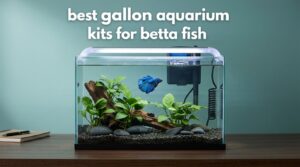 best 10 gallon aquarium kits for betta fish
