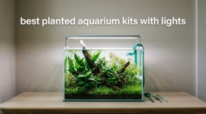 best planted aquarium kits with lights