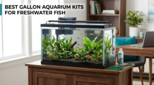 best 20 gallon aquarium kits for freshwater fish