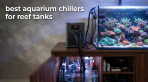 best aquarium chillers for reef tanks