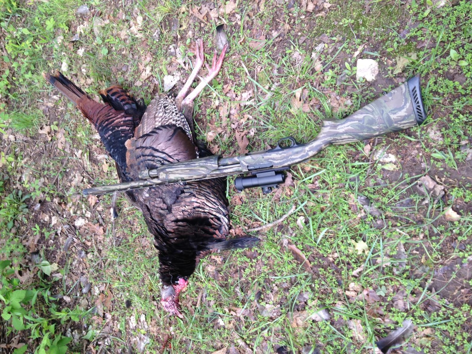 Truglo Gobble Stopper 30MM Turkey Sight for Hunting, 3MOA customer photo 2