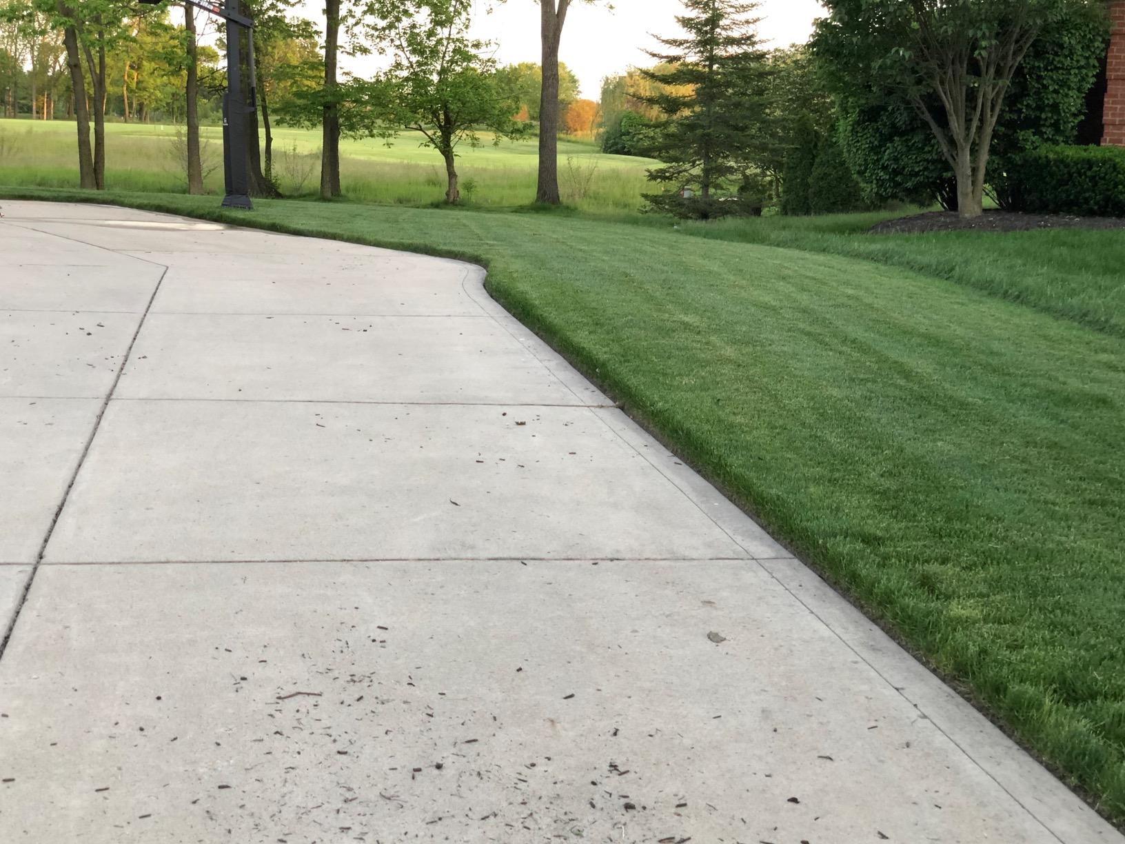 McLane 9 Inch Gas Powered Walk Behind Lawn Edger with 4 Rubber Wheels, 5.50 Gross Torque Engine and Spring Steel Blade, Powder Coat Finish, Red/Yellow customer photo 2
