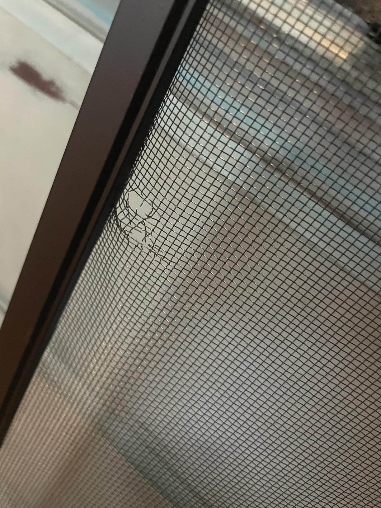 Zoo Med ReptiBreeze LED Deluxe Open Air Aluminum Screen Habitat, Medium 16 L x 16 W x 30 H customer photo 2