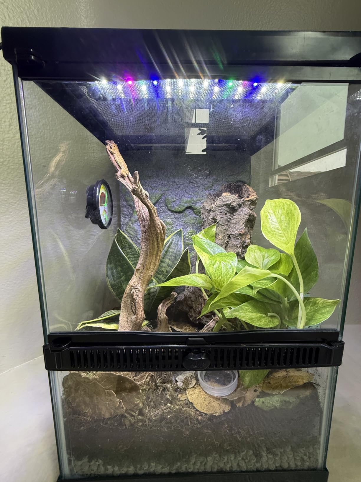 Zilla 11 Gallon Glass Tropical Vertical Terrarium Kit customer photo 2
