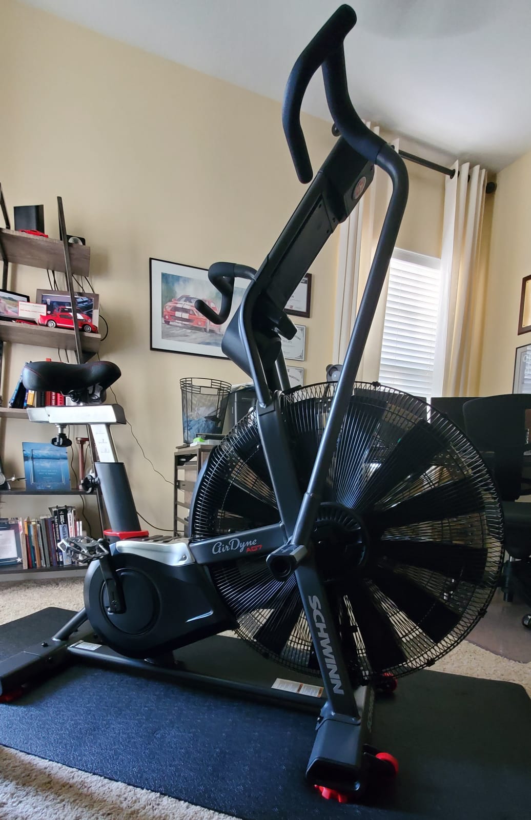 Schwinn Airdyne Bike Series customer photo 1