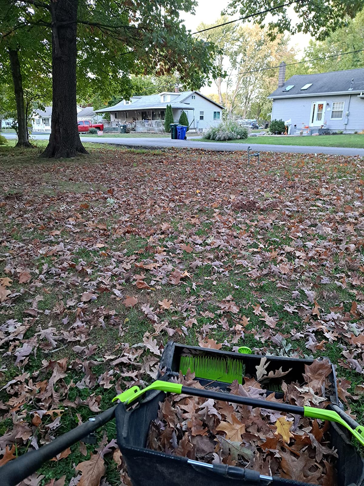 Earthwise LSW70021 21-Inch Width Leaf & Grass Push Lawn Sweeper, Black customer photo 1