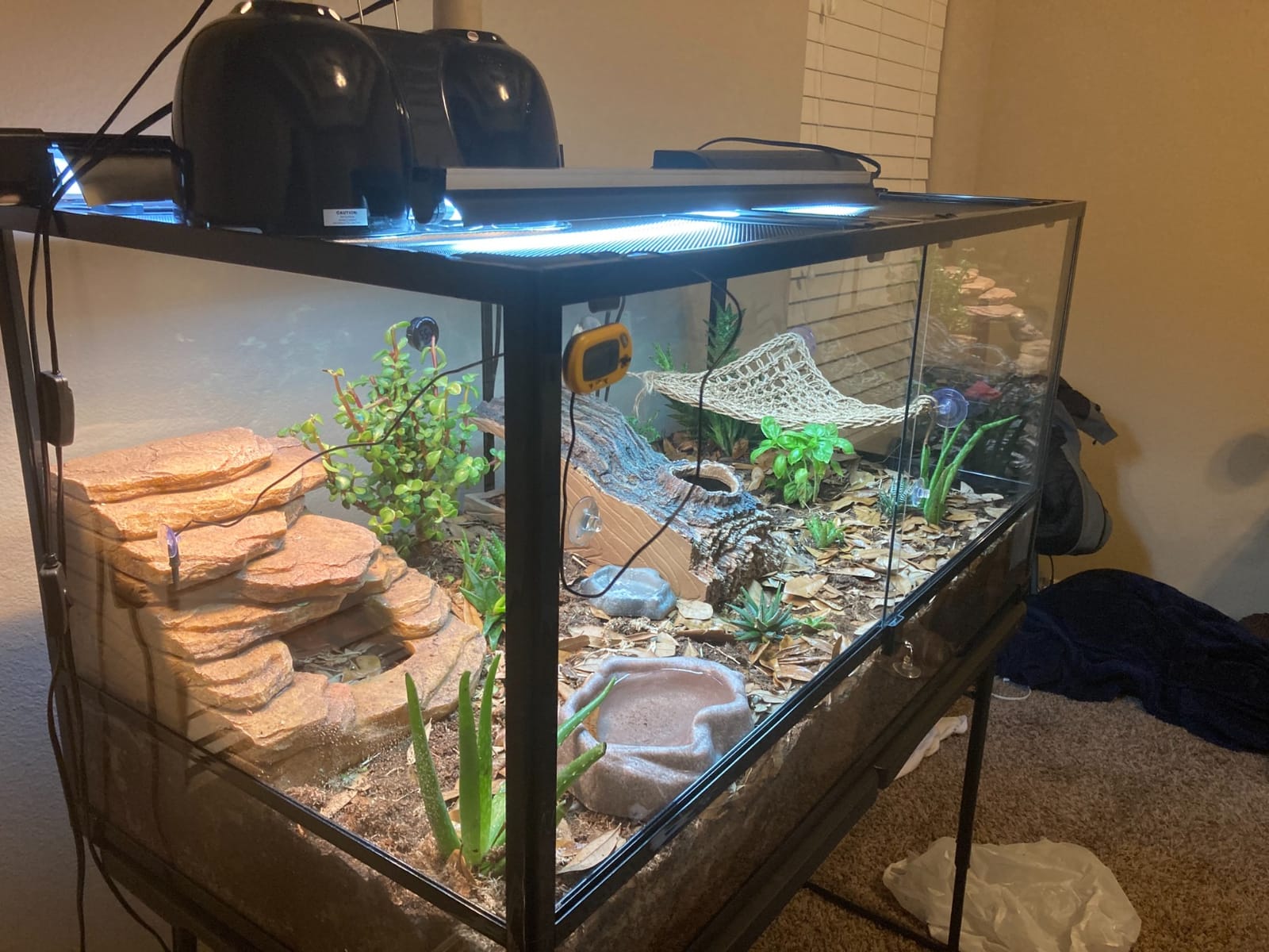 Carolina Custom Cages, 48Lx18Wx36H Extra-Tall Extra-Long Terrarium; Easy Assembly customer photo 1