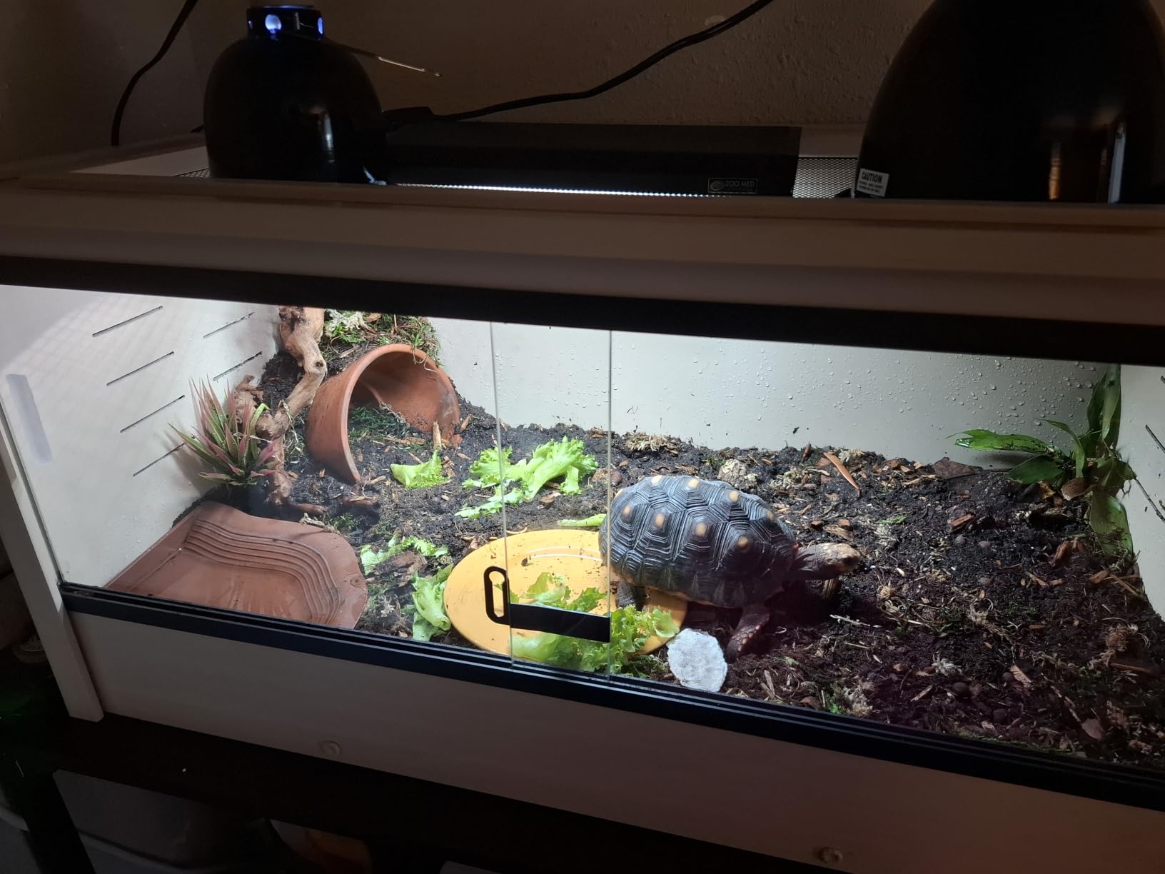 New Age Pet® ECOFLEX® 36