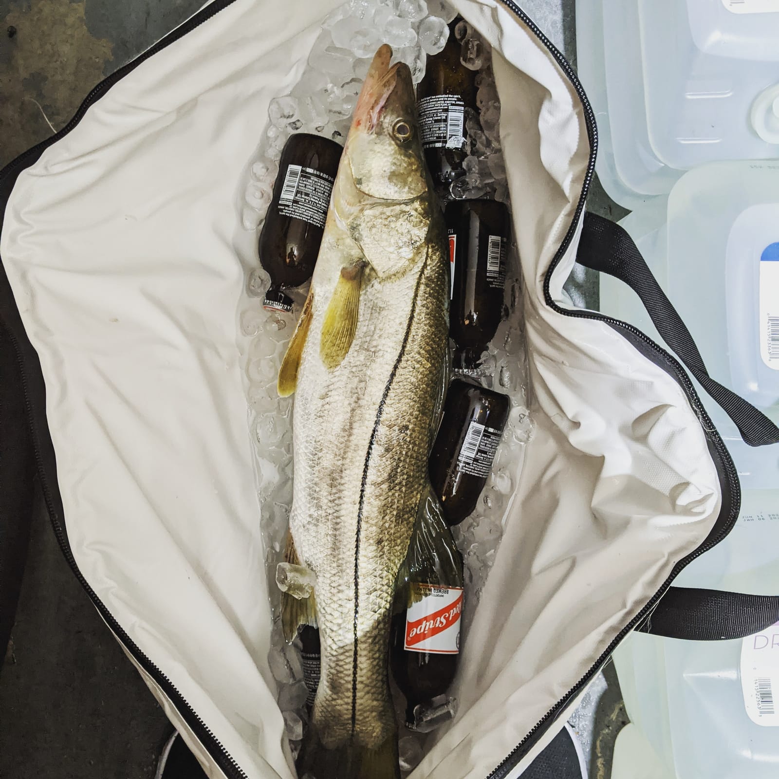 Buffalo Gear Insulated Fish Cooler Bag Portable Fish Kill Bag Keep Ice-cold More Than 48 Hours customer photo 1