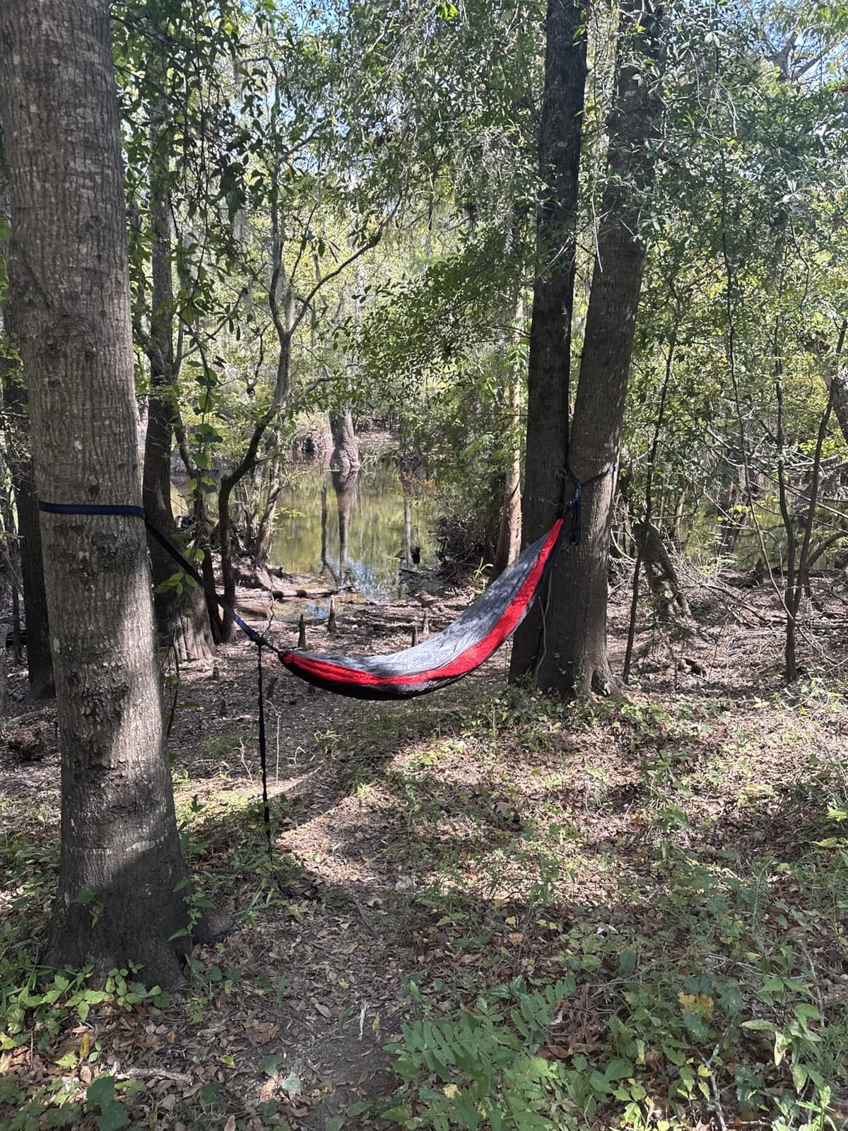 Camping Hammock with Net,Portable Lightweight Double Hammocks with Tree Straps and Solid D-Shape Hanging Hooks,Parachute Nylon Hammock for Backpacking Beach Backyard Patio Hiking customer photo 1