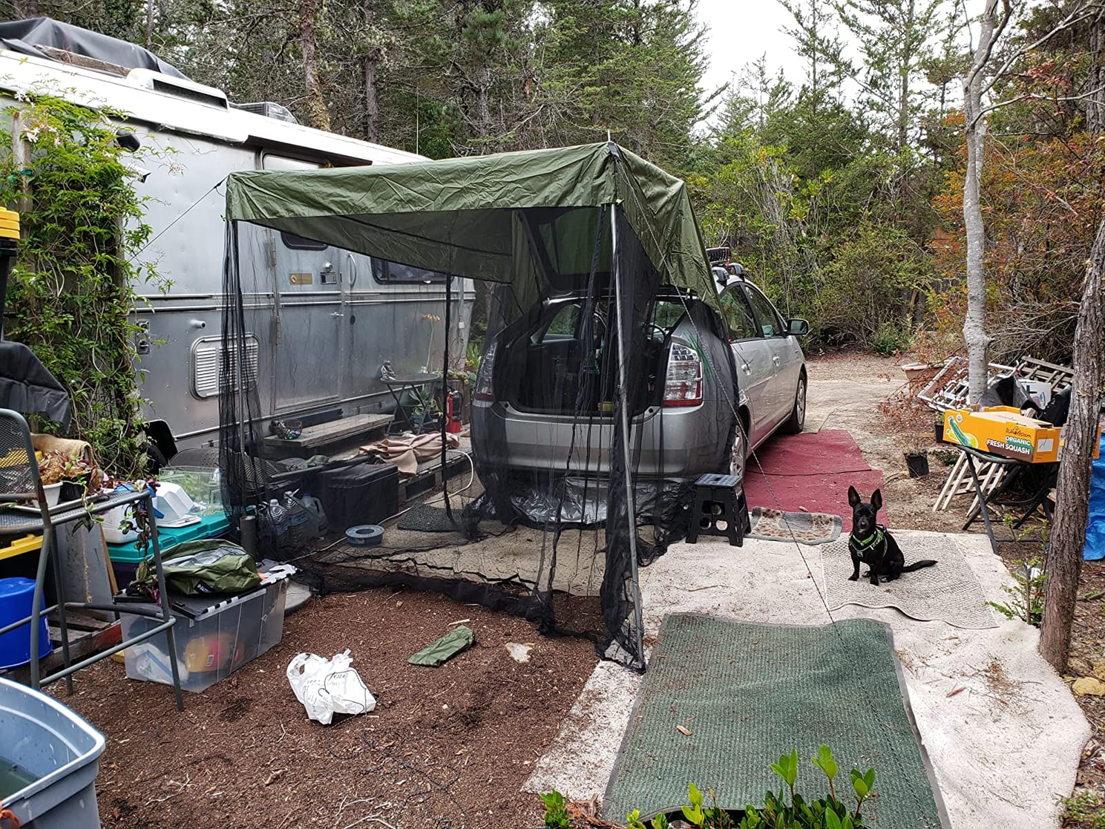 G4Free Car Awning Sun Shelter with Mosquito Net, Portable SUV Tent customer photo 1