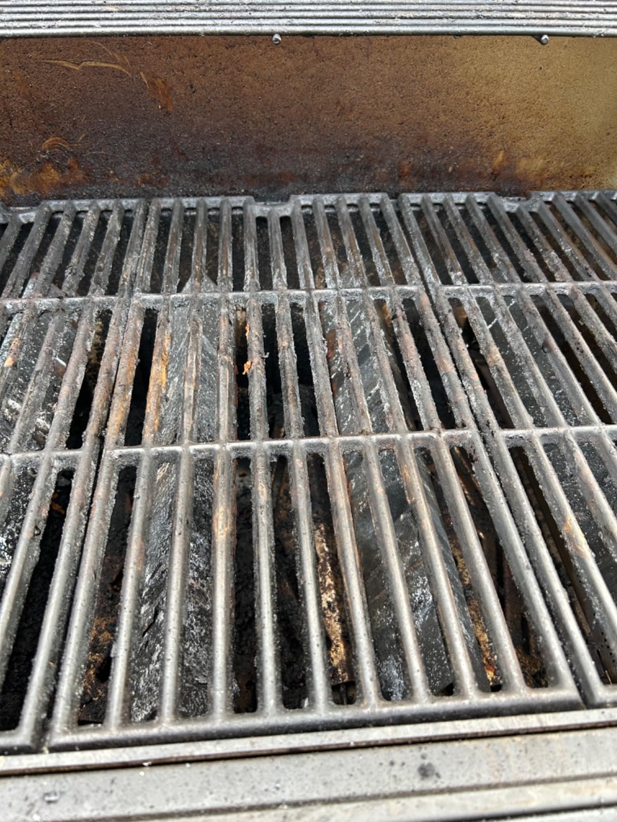 SIMPLETASTE Grill Brush and Scraper for BBQ customer photo 2