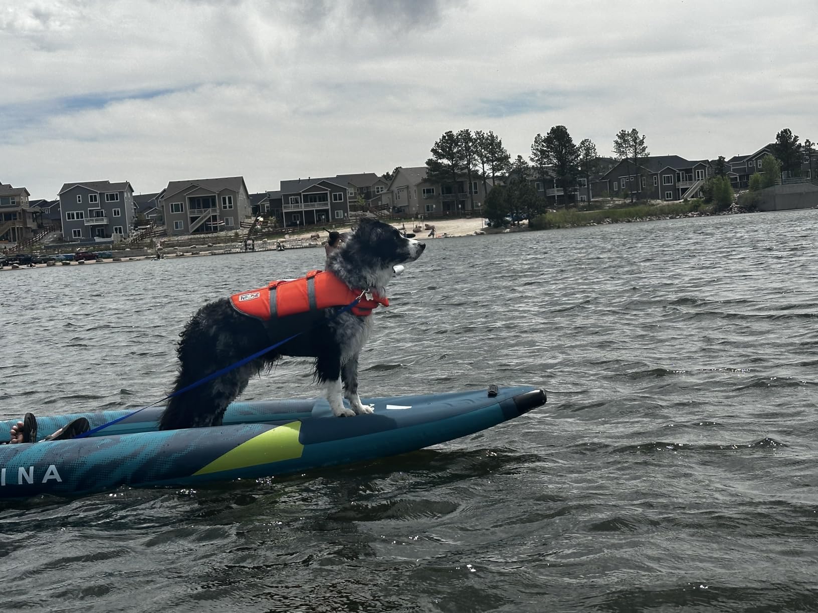 Aqua MarinaKayak customer photo 2