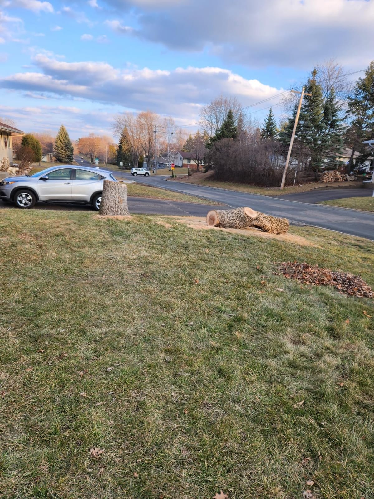 EGO POWER+ Chain Saw, 16” Battery Powered Chainsaw, Electric Cordless, Includes 56V 2.5Ah Battery and Charger – CS1611 customer photo 2