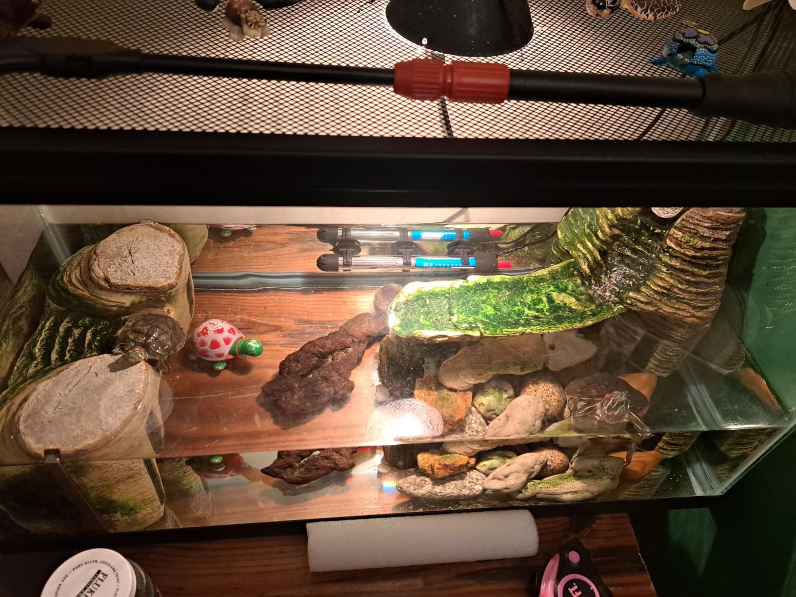 Briignite G9 Heat Lamp Bulbs for Reptile Mini Reptile Light Warm 50W 2 Pack customer photo 1
