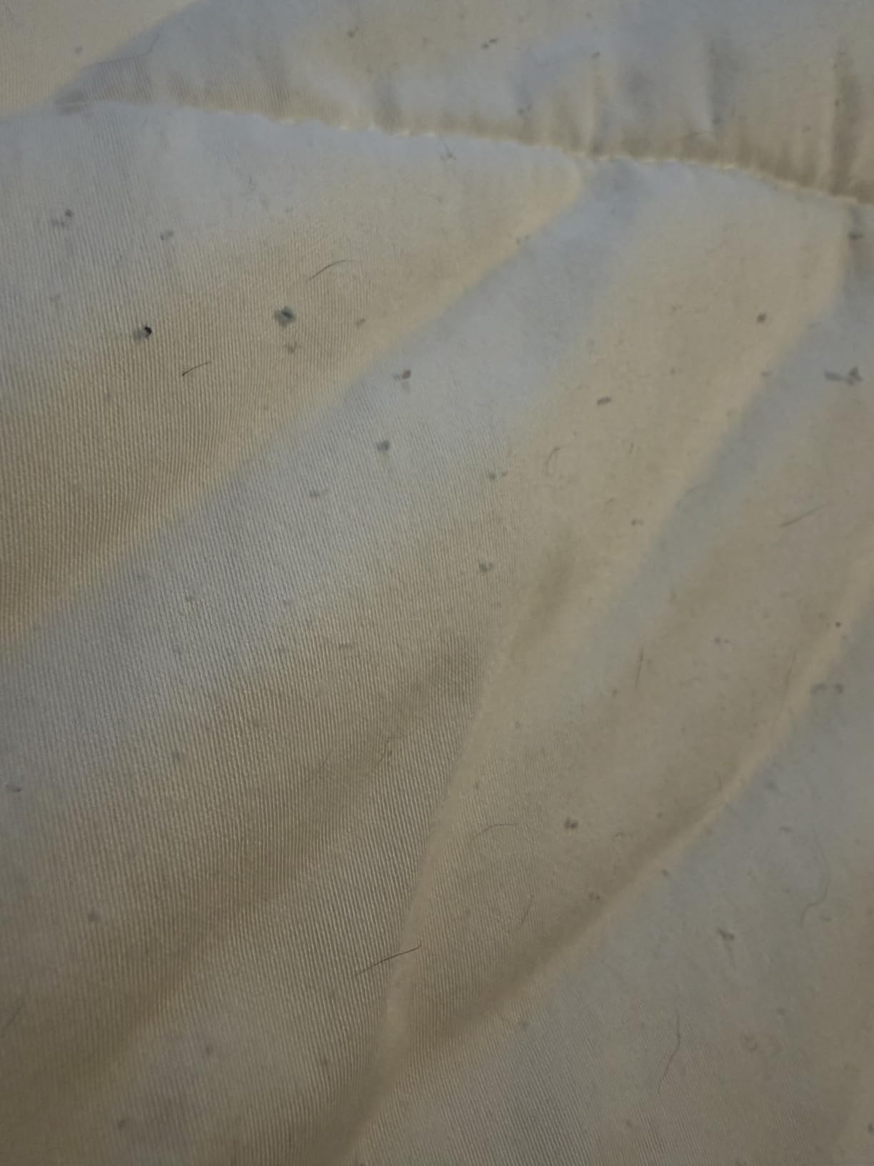 NEXHOME PRO Viscose from Bamboo Cooling Comforter, White Queen Lightweight Down Alternative Cool Natural Organic Duvet Insert, Summer Bedding Blenket Cool for Hot Sleepers,8 Corner Tabs(90
