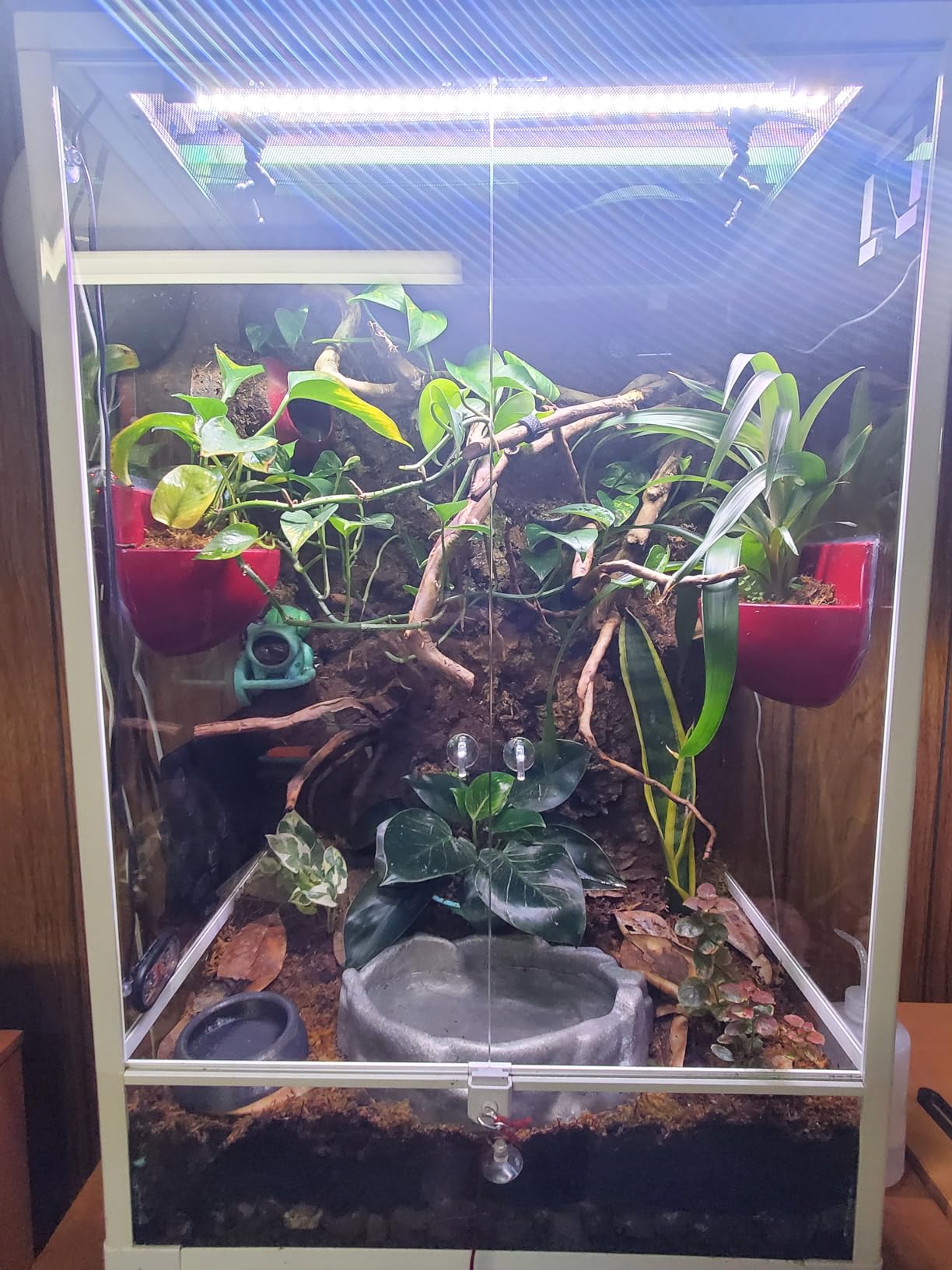 Glass Reptile Terrarium, 40