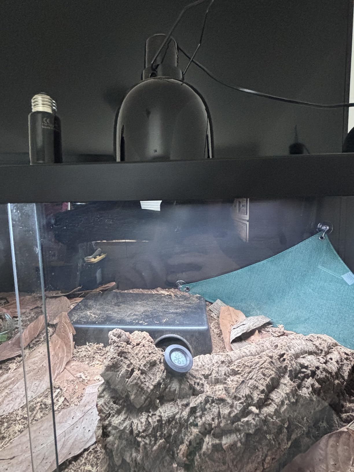 Fluker's Deep Thermal Heat Lamp for Reptiles with Carbon Infrared Technology, for All Reptile Tanks, Great for Basking, 100 Watt customer photo 2