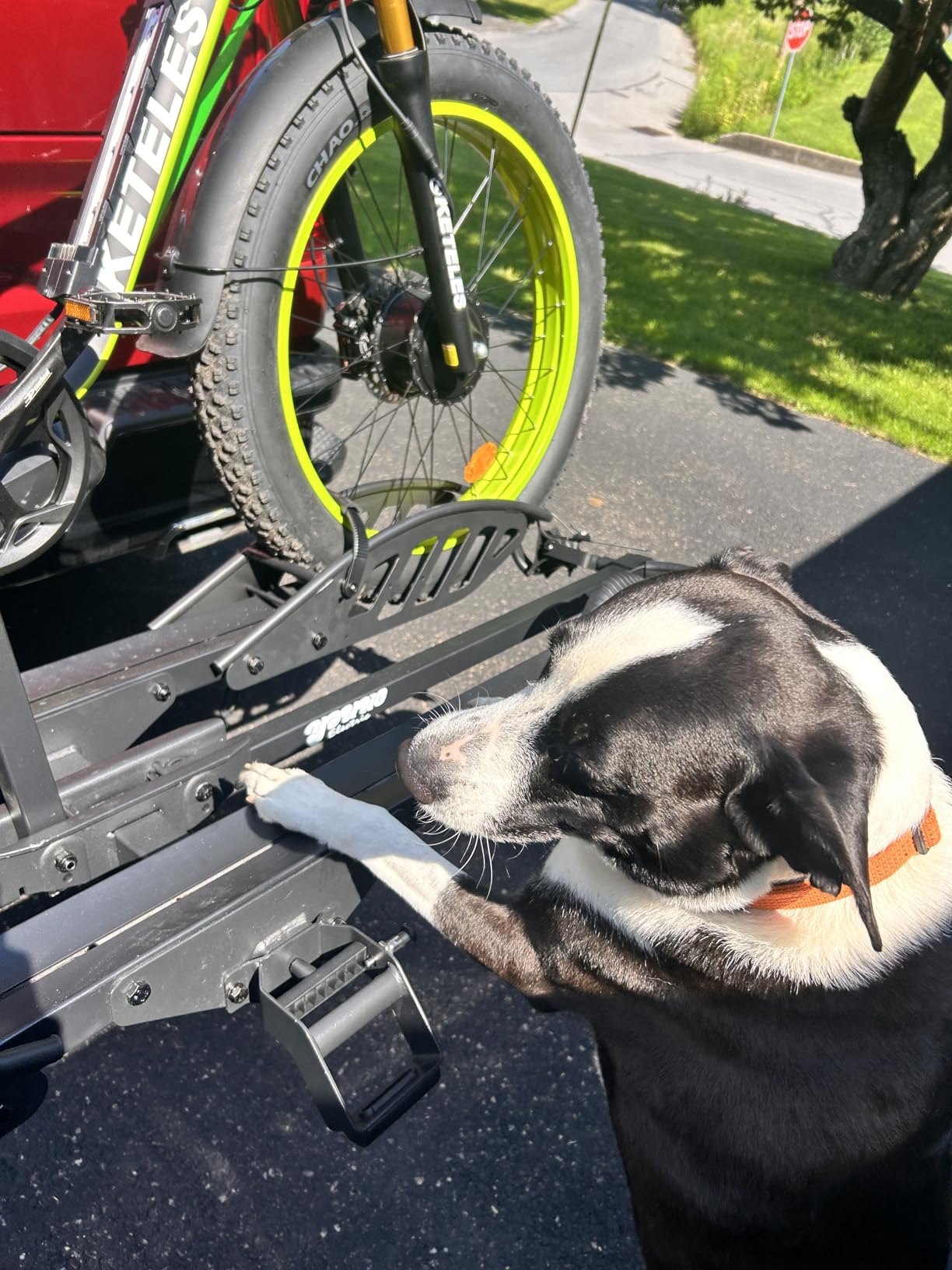 Young Electric Ebike Rack with Ramp 200 lbs 2-Bike Rack Hitch Mount customer photo 1