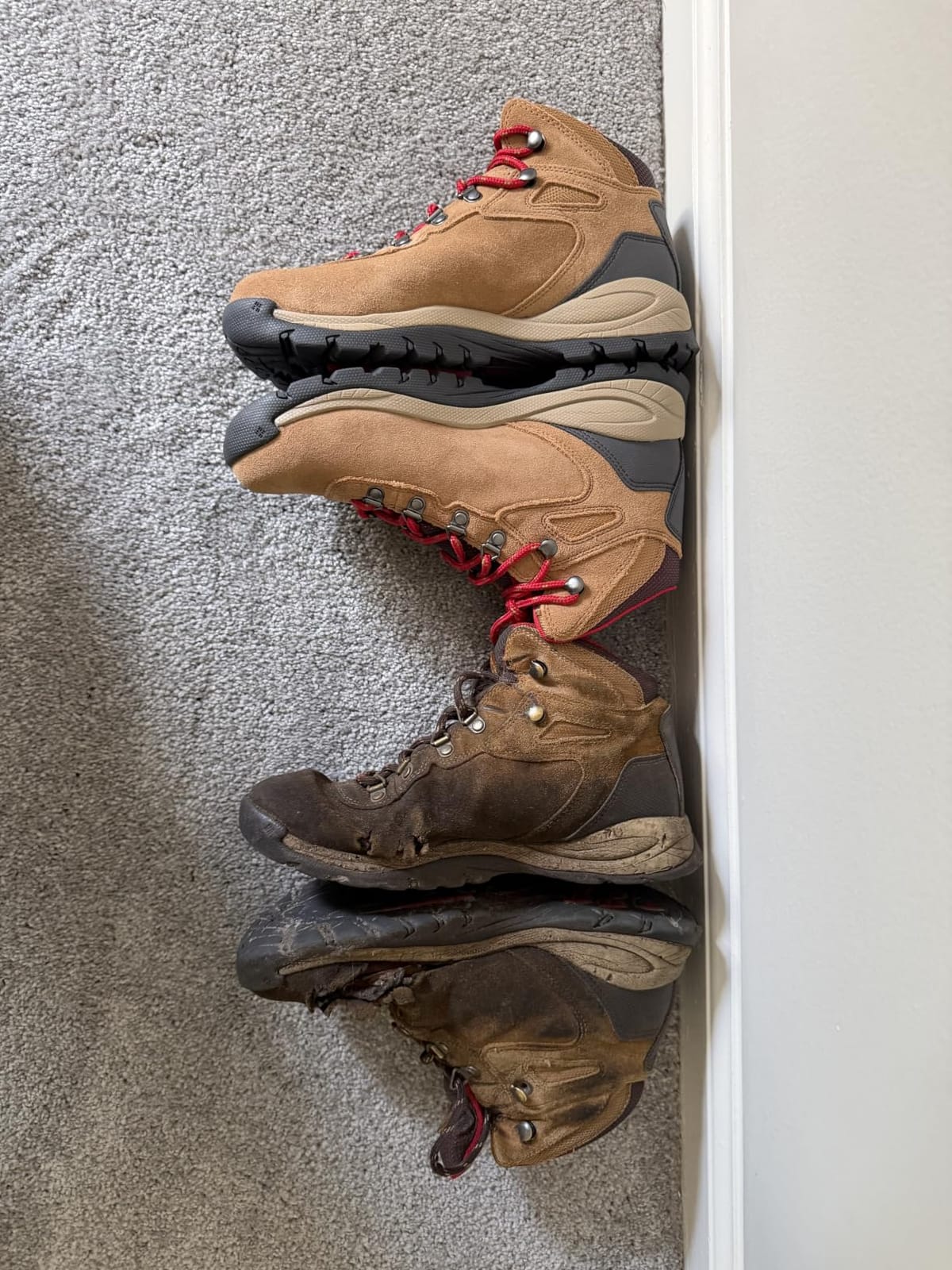 Columbia Women’s Newton Ridge Plus Waterproof Amped customer photo 2