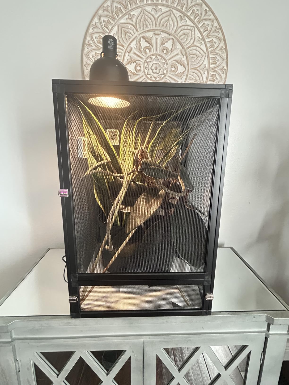 33 Gal Foldable Reptile Terrarium for Gecko & Dragon customer photo 2