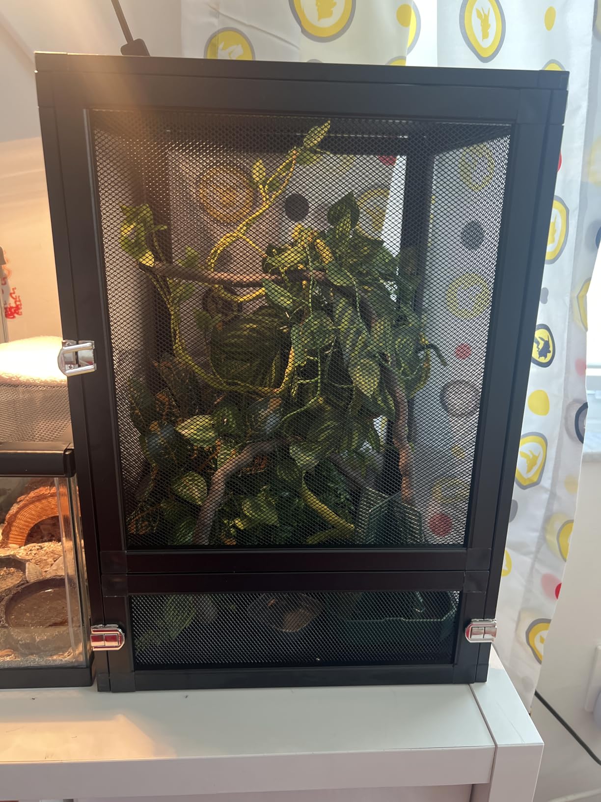 45 Gal Foldable Reptile Terrarium for Gecko & Dragon customer photo 2