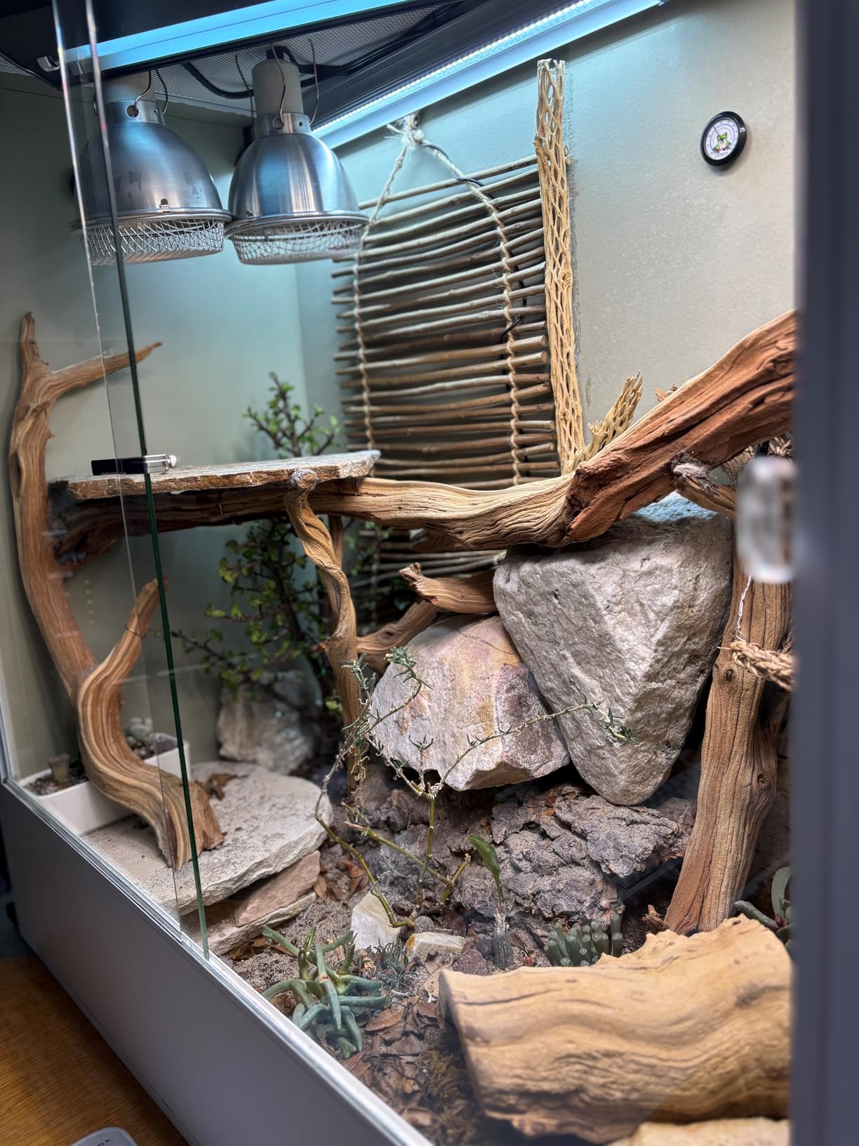 REPTIZOO 100 Gallon PVC Reptile Enclosure, 36x18x36 inch Extra Tall Large Reptile Tank, Chameleon Frog Gecko Lizard Arboreal Terrarium with Sliding Door & Screen Ventilation customer photo 1
