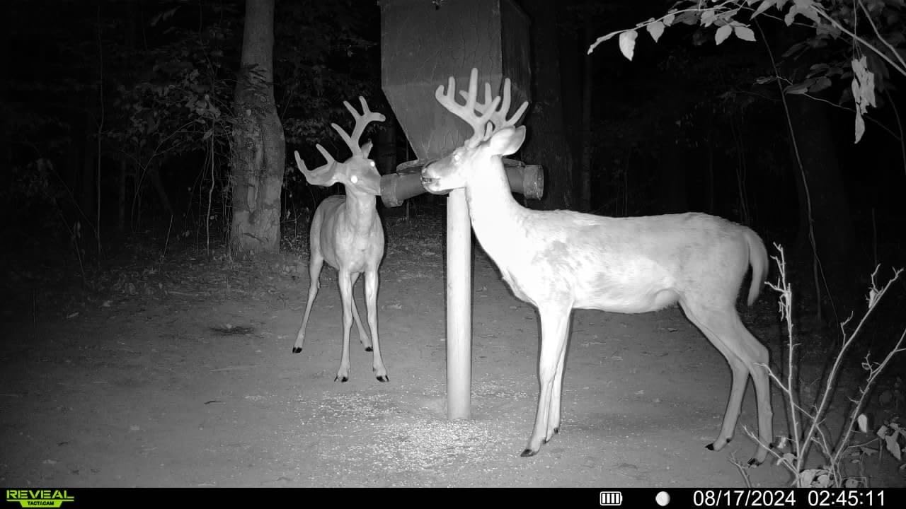 TACTACAM Reveal X Gen 3.0 Cellular Trail Camera - Multi Carrier, HD Photos & Videos, Pre-Installed Antenna, Built-in GPS, Best Battery Life, Low-Glow, Fast Trigger Speed + Cleaning Cloth | 2PK customer photo 2