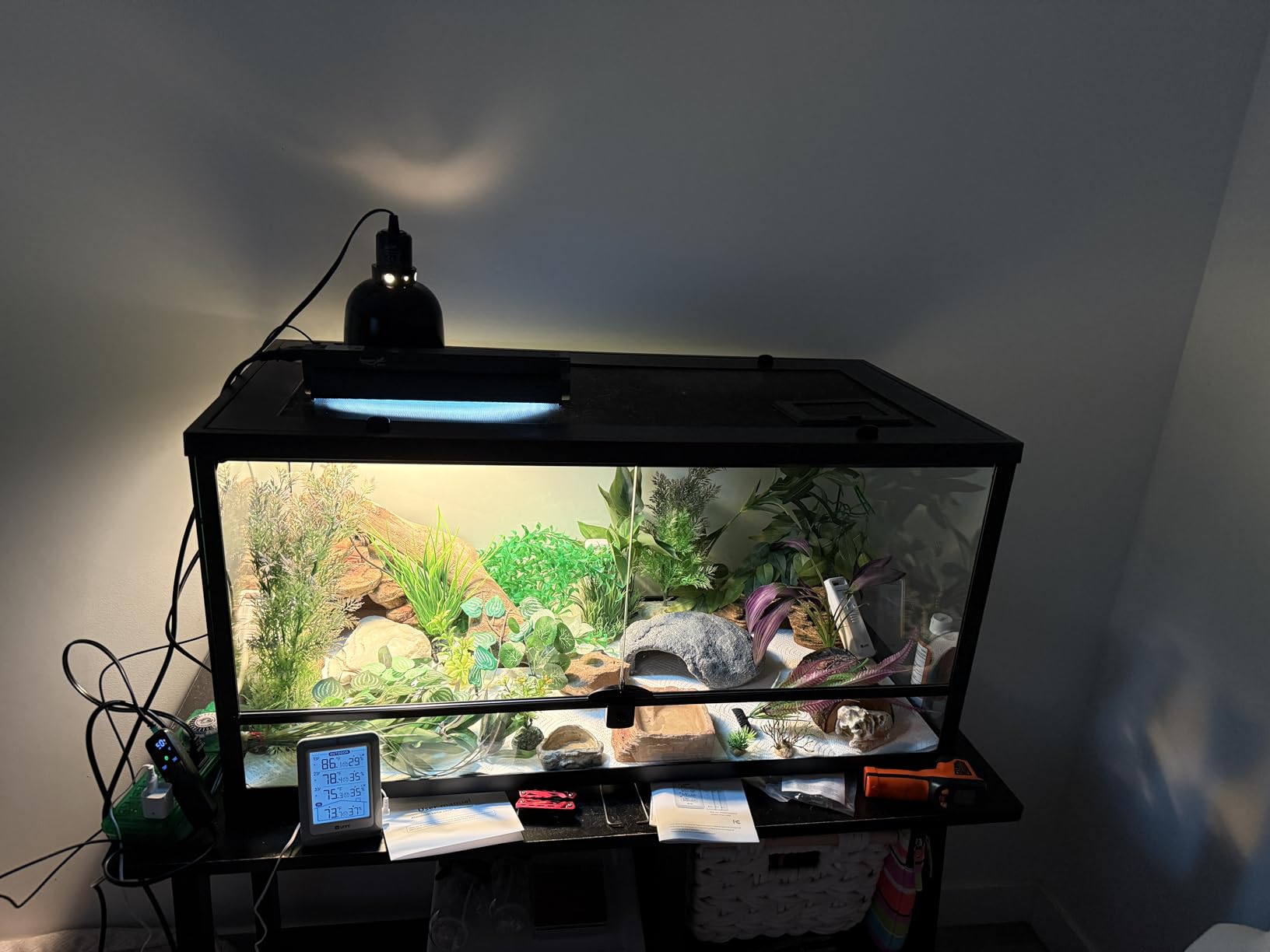 T5 Reptile Light Fixture Combo Kit 24W Light Fixture Reptile Terrarium Hood 10.0 UVB Light Bulb Fluorescent Tube Ideal for Tropical and Deserts Such as Bearded Dragon Lizards and Tortoises customer photo 2
