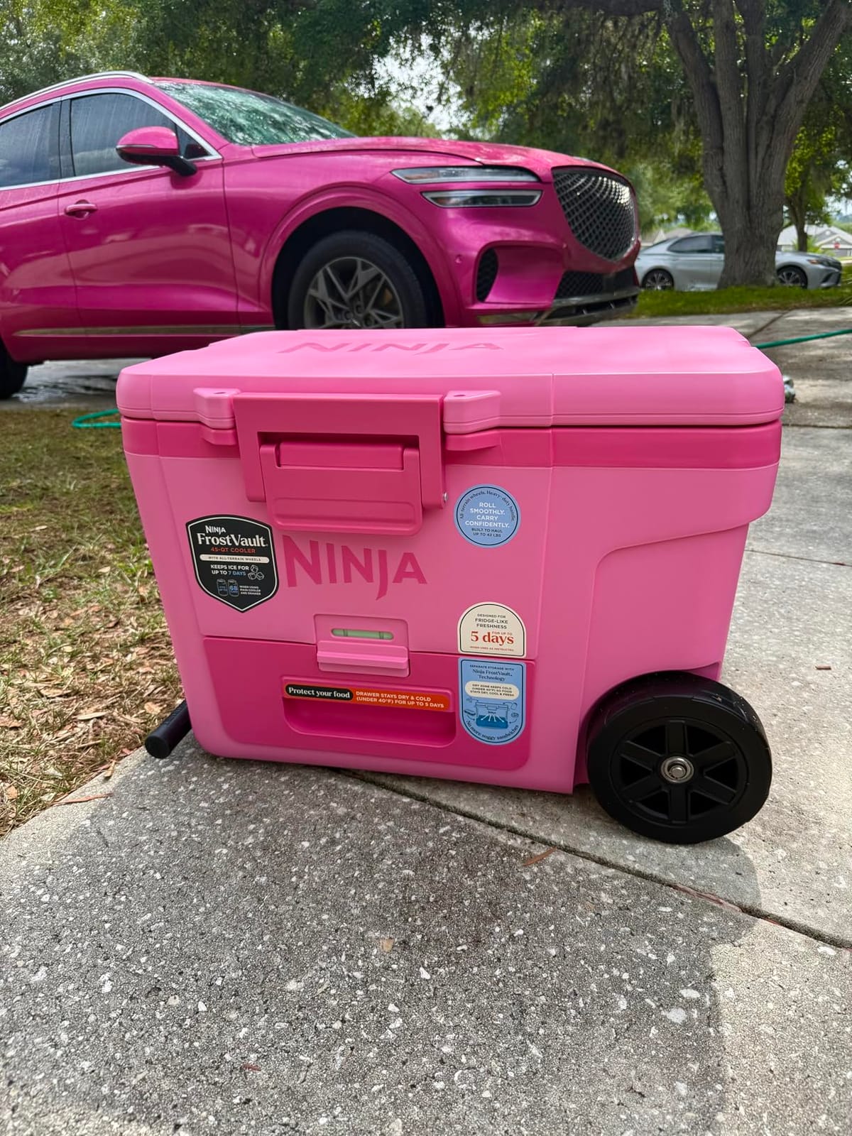 Ninja FrostVault™ 65qt Cooler with Wheels, Dry Storage, Lakeshore Blue customer photo 1
