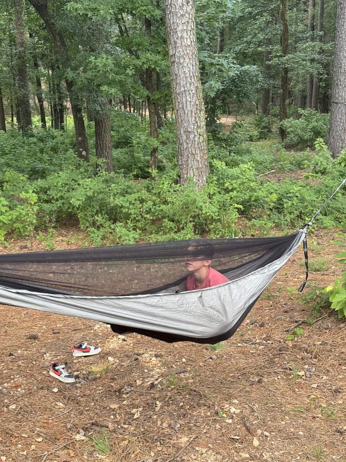 Camping Hammock Mosquito Net,Double & Single Portable Hammocks Hammocks with 2 Tree Straps,Hammock Tent for Travel Camping,Camping Accessories for Indoor Outdoor Hiking Backpacking Backyard Beach customer photo 1