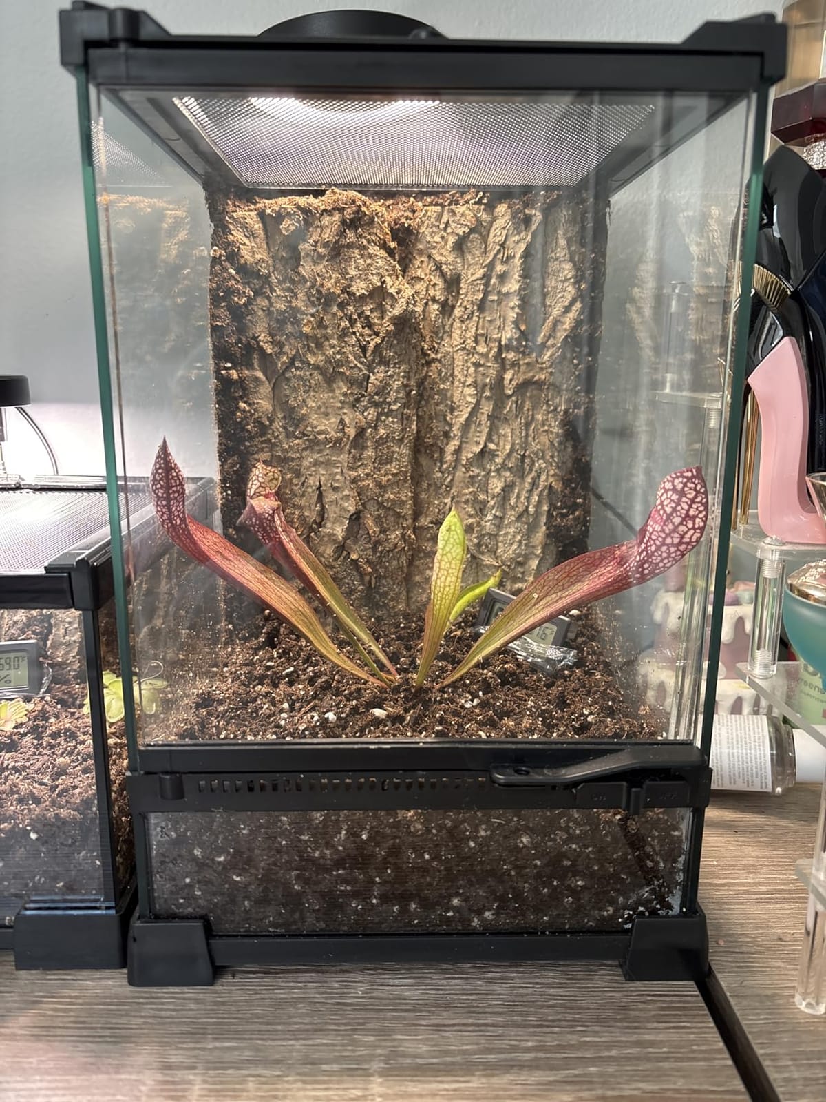 10 Gallon Reptile Enclosure Terrarium, 20“ x 12