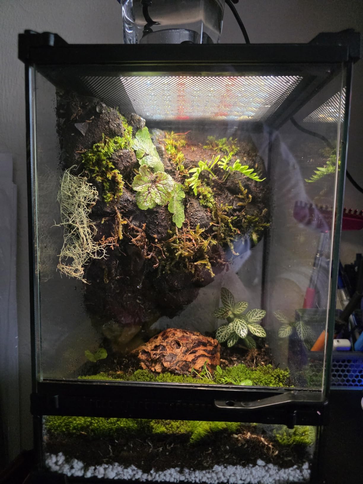 10 Gallon Reptile Enclosure Terrarium, 20“ x 12