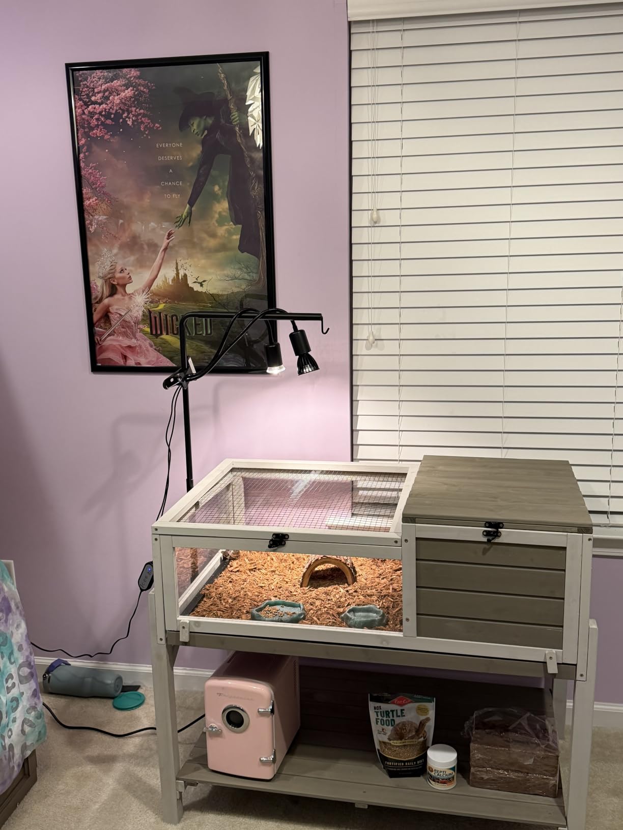 Tortoise Enclosure Indoor Outdoor, Wooden Habitat with Detachable Legs customer photo 2