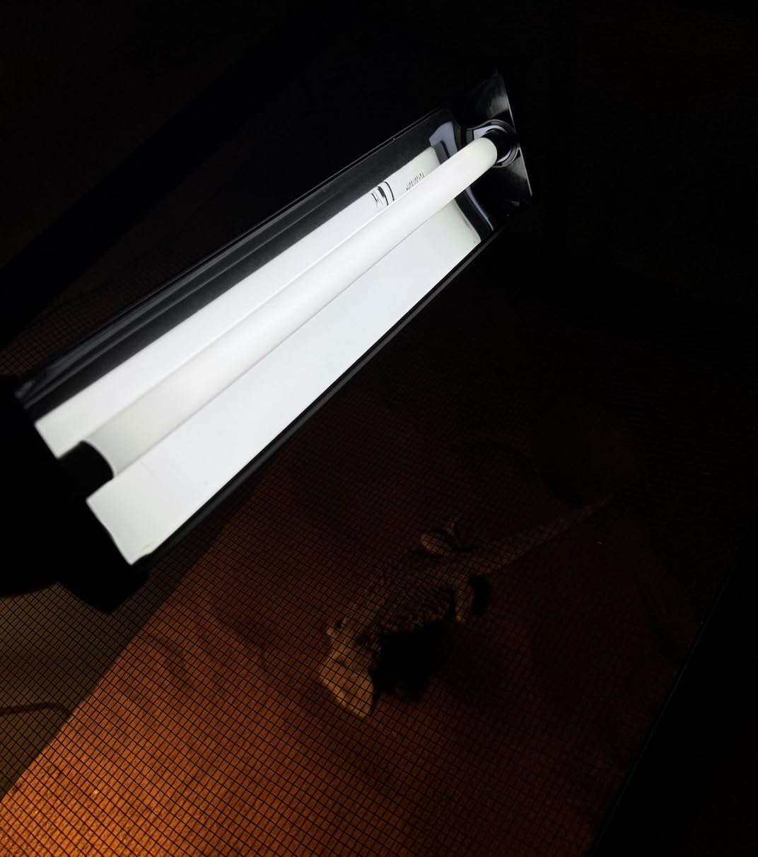 QZQ T5 10.0 UVB Reptile Light Fixture Combo Kit 8W customer photo 2