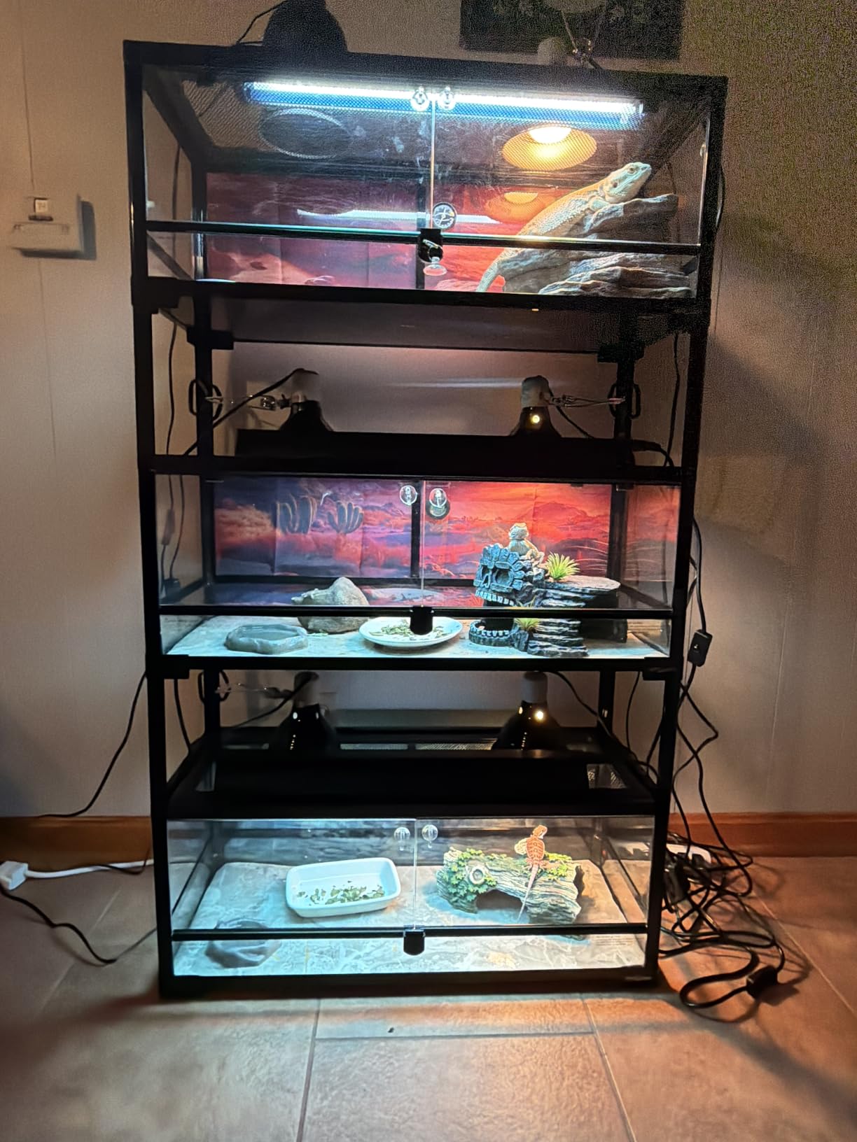 QZQ T5 10.0 UVB Reptile Light Fixture Combo Kit 24W customer photo 1