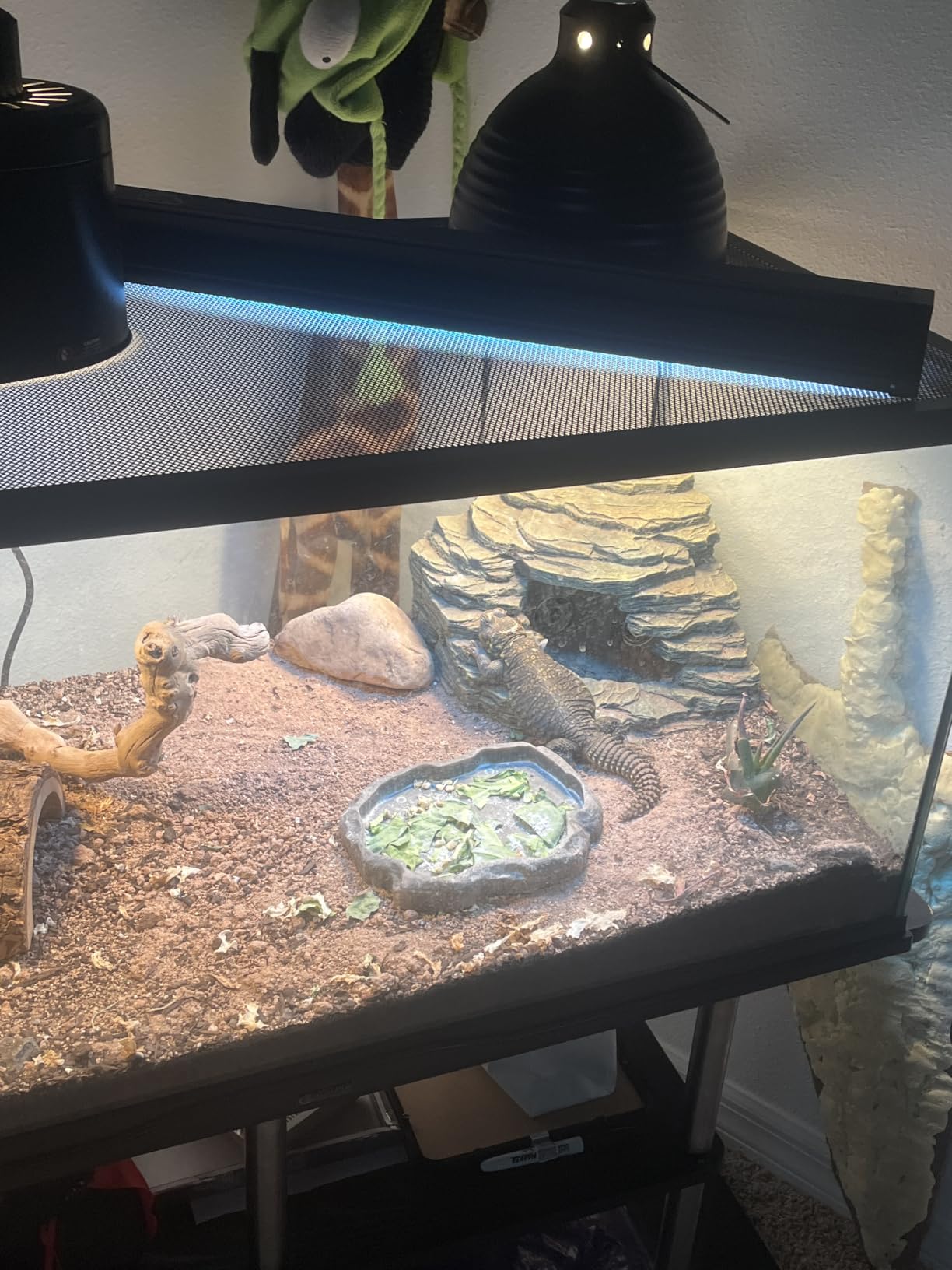 QZQ T5 10.0 UVB Reptile Light Fixture Combo Kit 24W customer photo 2