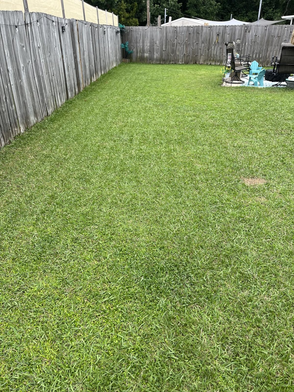ECOVACS Goat O1000 RTK Care Robot Lawn Mower, RTK Navigation, 1/4 Acre customer photo 1