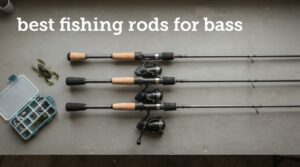 best fishing rods for bass