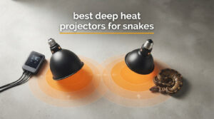 best deep heat projectors for snakes