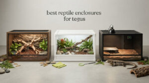 best reptile enclosures for tegus